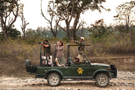 bijrani safari booking